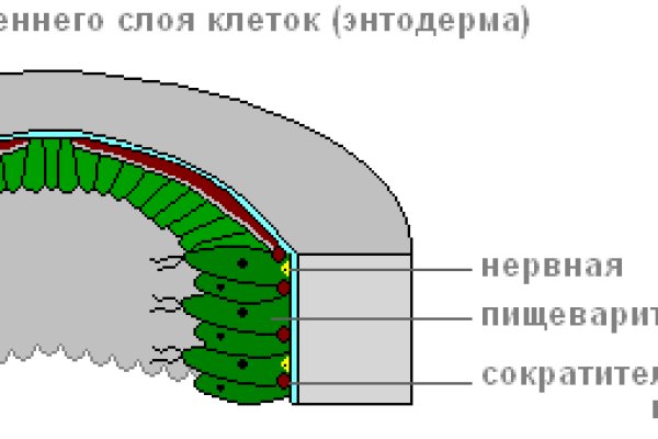 Почему не получается зайти на кракен